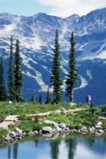 3rd annual Whistler Yoga Conference